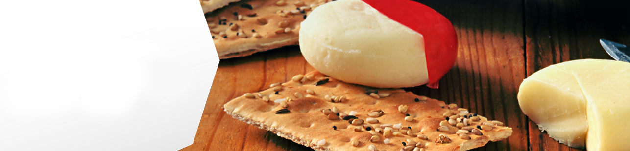 Food banner image